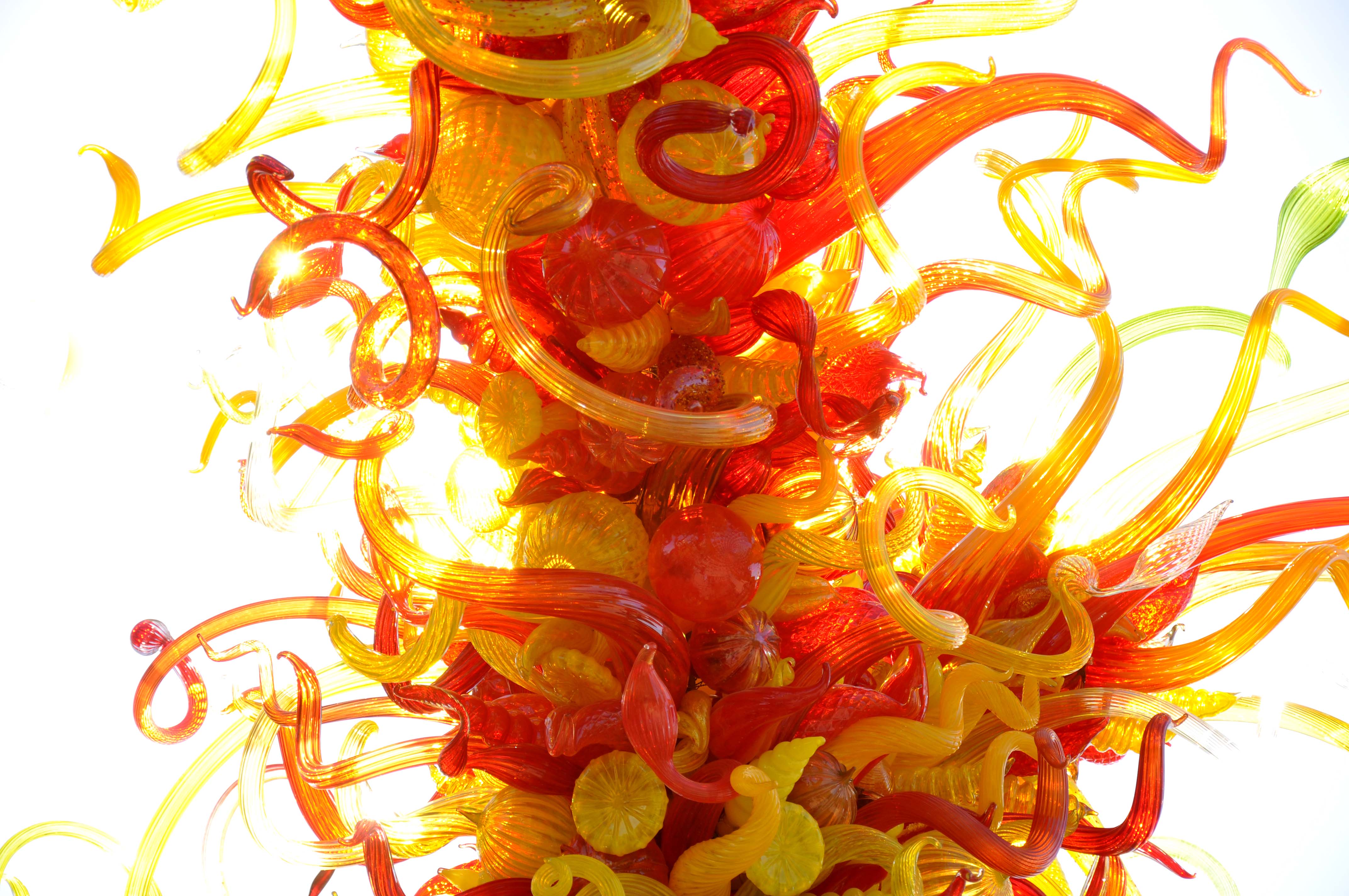 2014-phx-chihuly-no-1