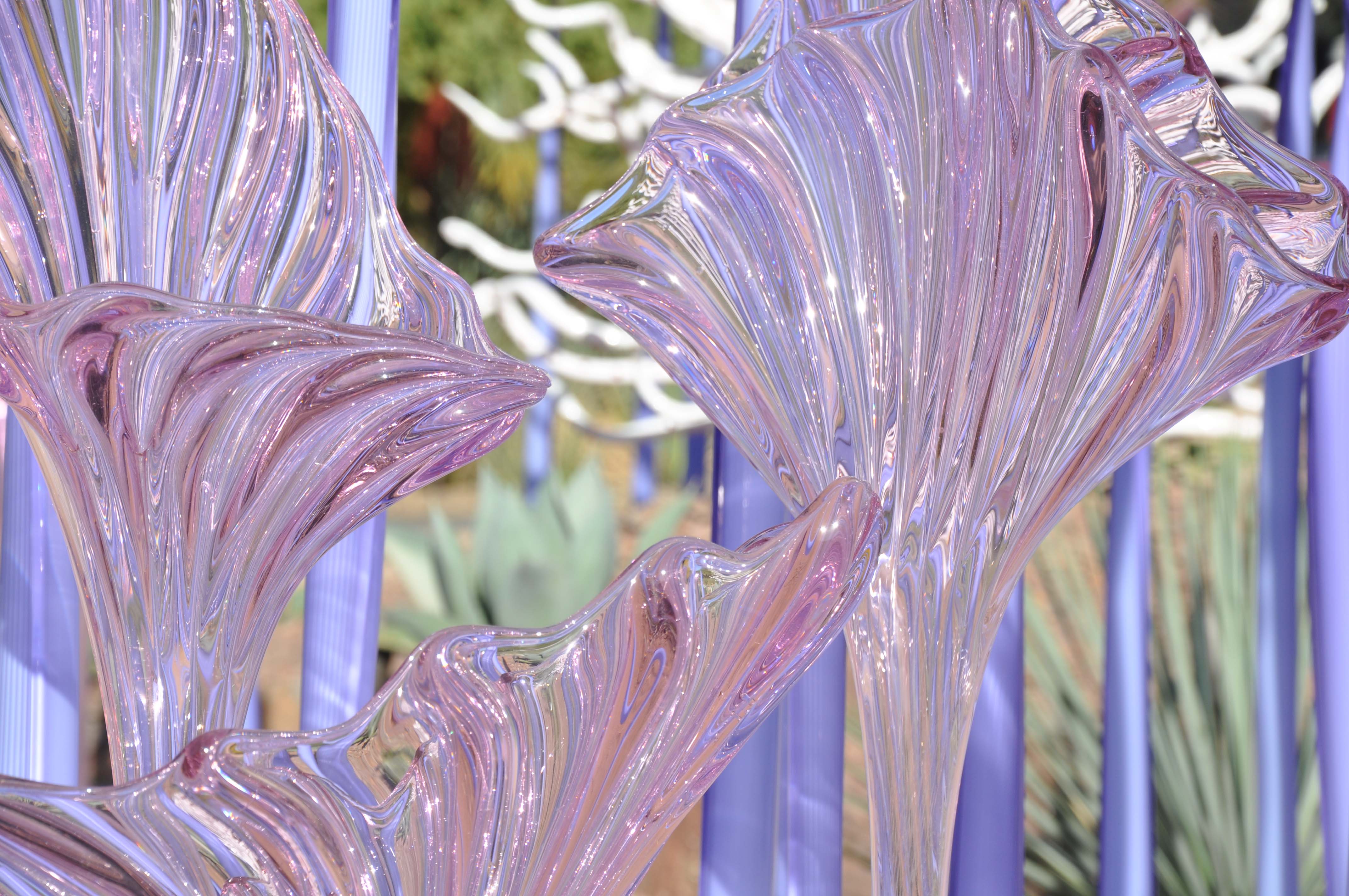 2014-phx-chihuly-no-10