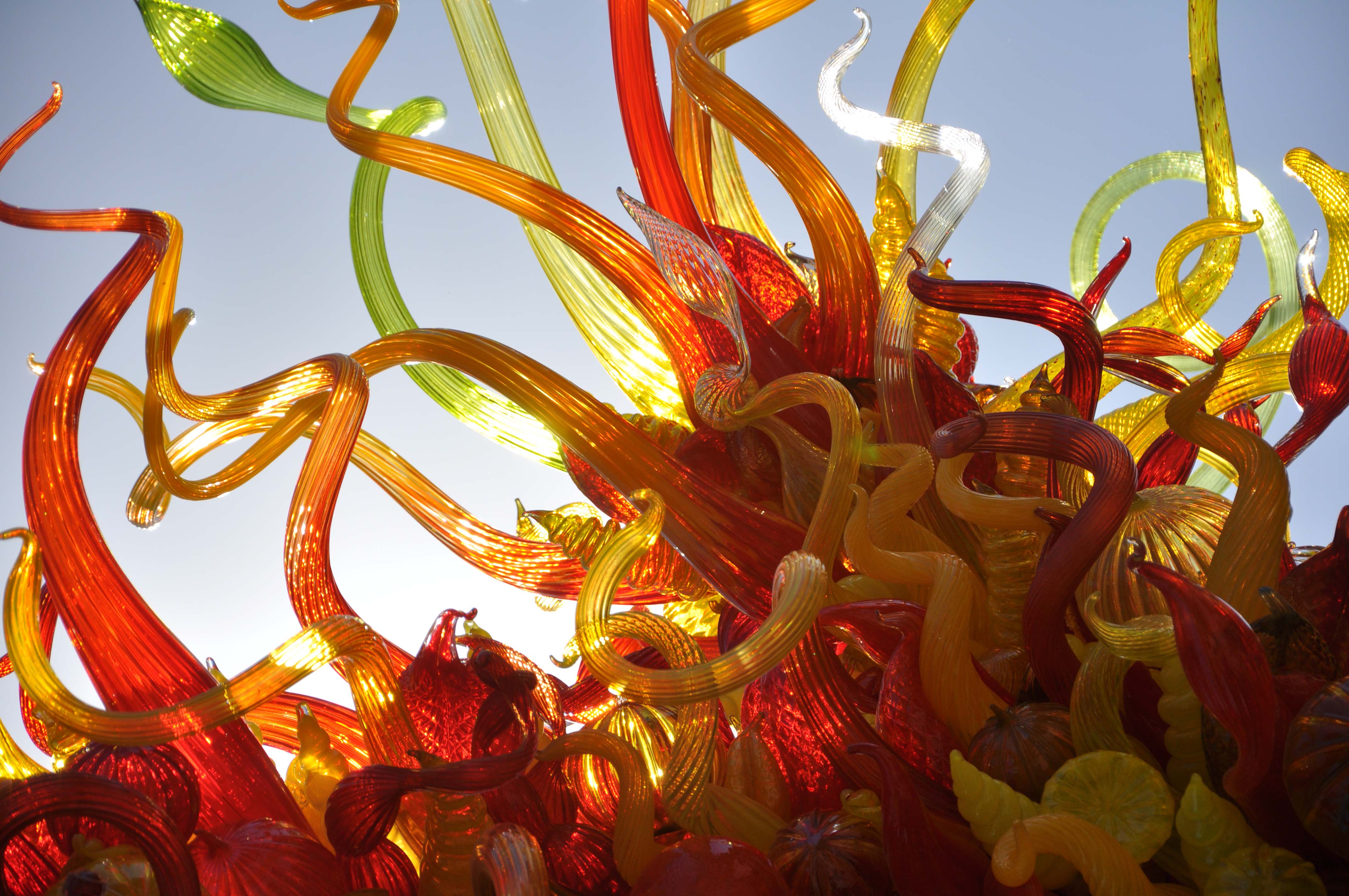 2014-phx-chihuly-no-2