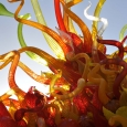 2014-phx-chihuly-no-2