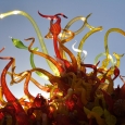 2014-phx-chihuly-no-3